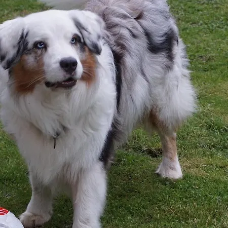 Gasthuis Garni Liberia 3*